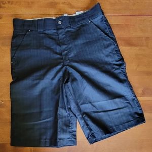 Dickies Men's 13 Inch Regular Fit Shadow Stripe Short, Black, 36